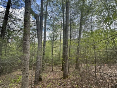 Lots and Land: MLS #23007292