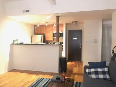 1050 W Dickens Avenue, Chicago, IL 60614 - Apartment for Rent