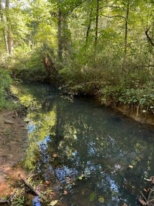 45 Mill Creek