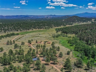 Home For Sale In Lake George, Colorado