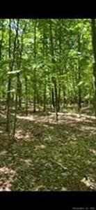 0 Wooster, Naugatuck, CT, 06770 | for sale, Land sales