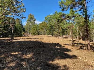 Lots and Land: MLS #23037810