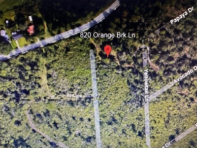 820 Orange Brook Lane