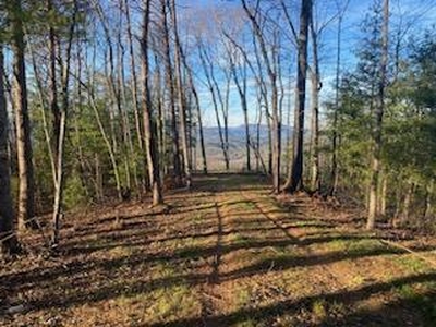 Lot 1-A Chestnut Mountain Road