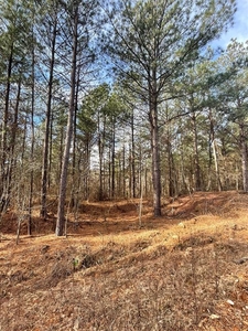 Lots and Land: MLS #1097885