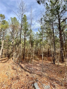 Lots and Land: MLS #1097889