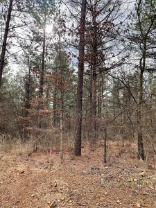 Lots and Land: MLS #1097898