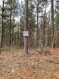 Lots and Land: MLS #1097902