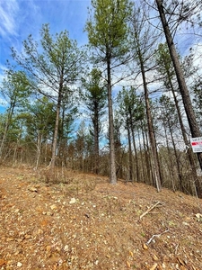 Lots and Land: MLS #1097904