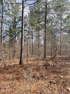 Lots and Land: MLS #1097906