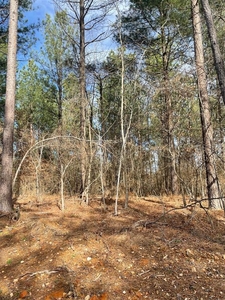 Lots and Land: MLS #1097907