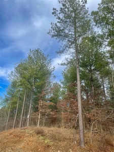 Lots and Land: MLS #1097910
