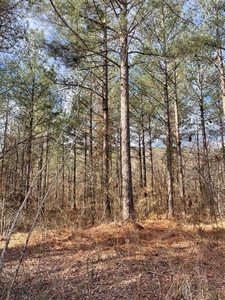 Lots and Land: MLS #1097920