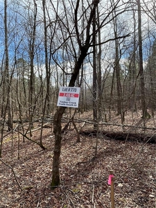 Lots and Land: MLS #1097944