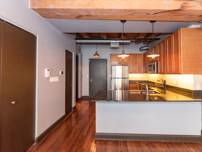 106 N Aberdeen St, Chicago, IL 60607 - Condo for Rent