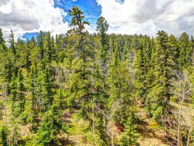 0 Wicaka Trail, HARTSEL, CO, 80449 | for sale, Land sales