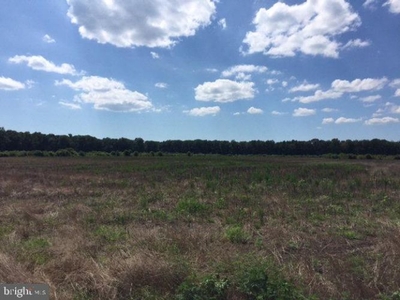 Lot 51 LANKFORD HIGHWAY