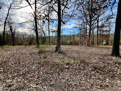 Lots and Land: MLS #24009044