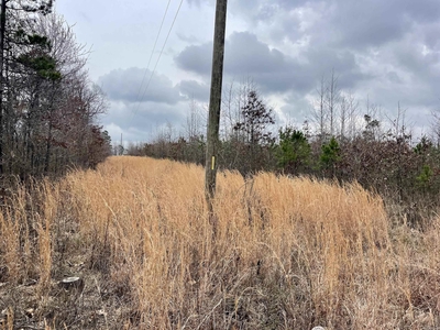 Lots and Land: MLS #24009343