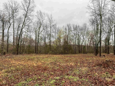 Lots and Land: MLS #24010033