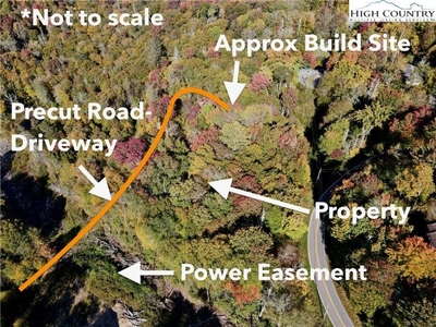 Hickory Nut Gap Road