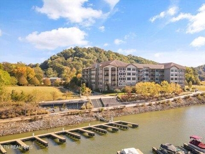 1 bedroom, Knoxville TN 37920