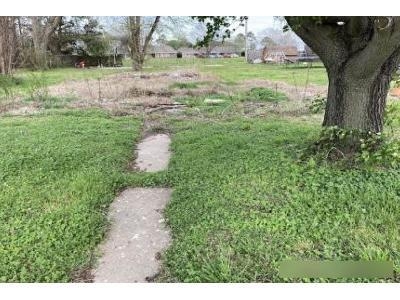 Foreclosure Land In Ridgely, Tennessee
