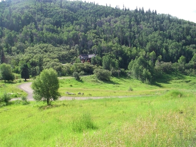 33635 Sky Valley Drive, Steamboat Springs, CO, 80487 | Nest Seekers